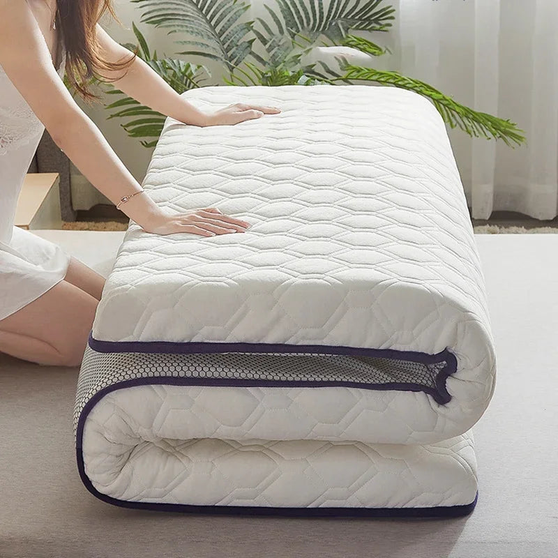 Laushway Bed & Mattress