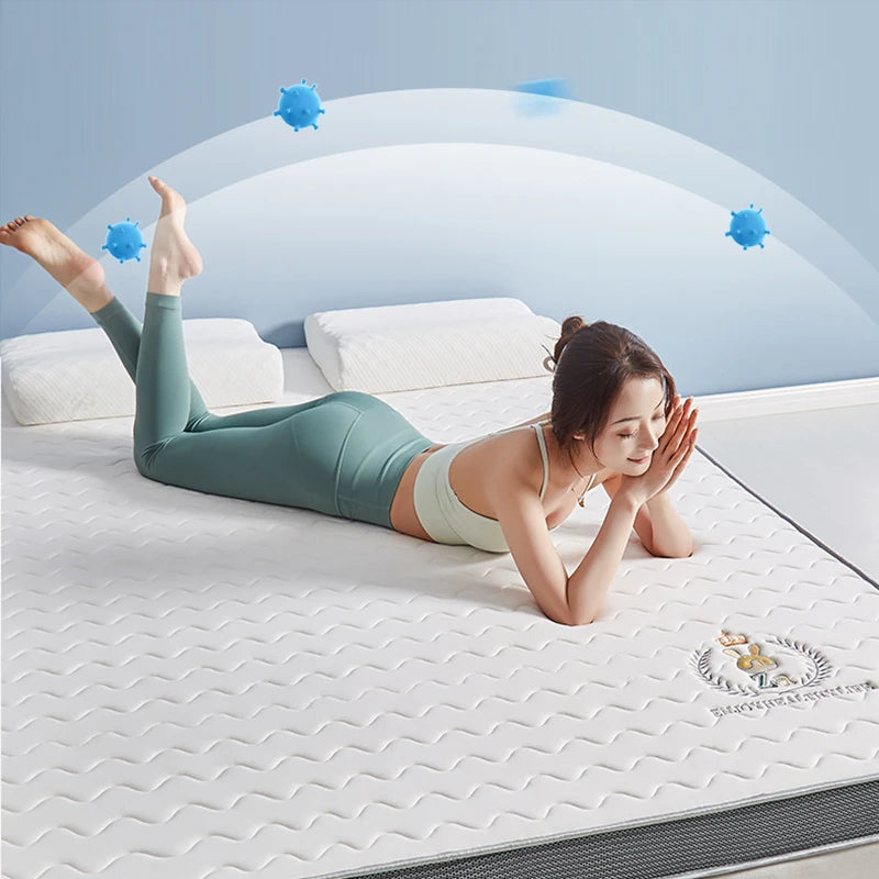 Laushway Bed & Mattress