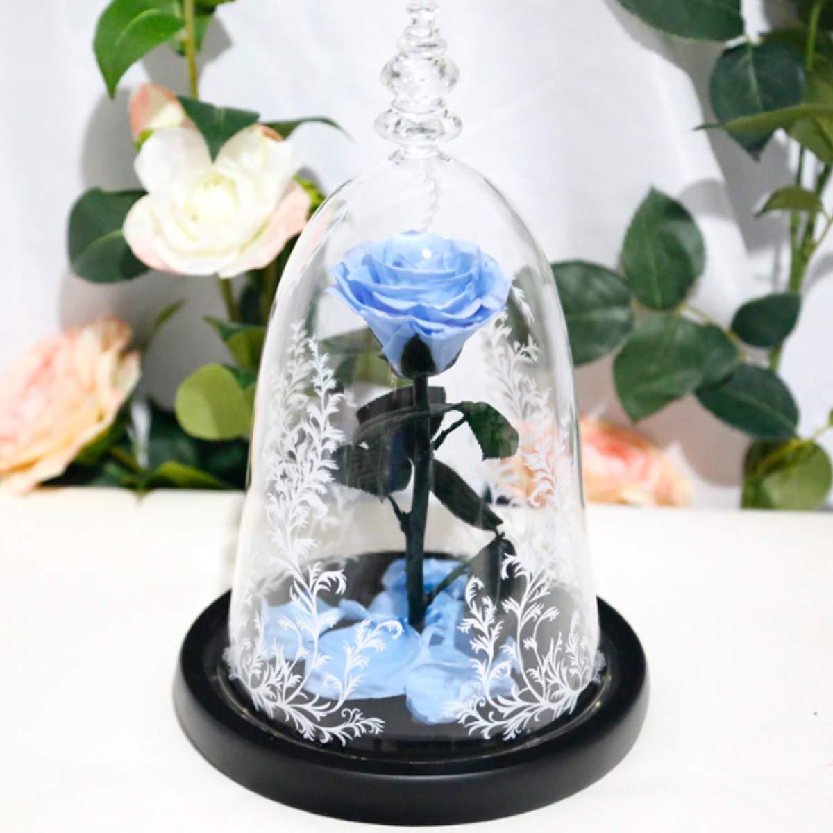 Beauty And The Beast Eternal Flower Glass Cover