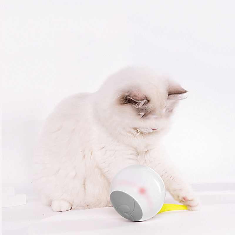 LED Luminous Automatic Funny Cat Rolling Ball