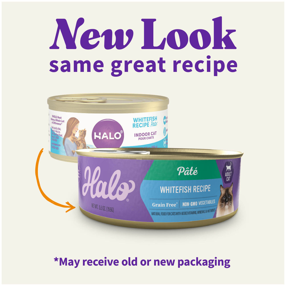 Halo Grain Free Indoor Cat Whitefish Pate Canned Cat Food