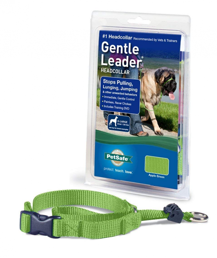 Petsafe Gentle Leader Quick Release Green Apple Headcollar for Dogs