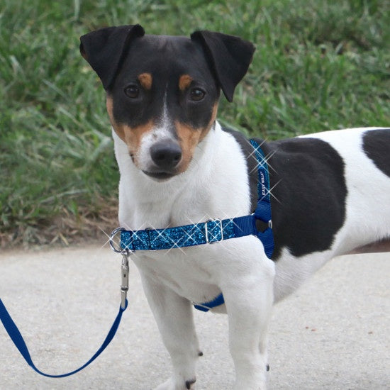 PetSafe Easy Walk Blue Bling Dog Harness