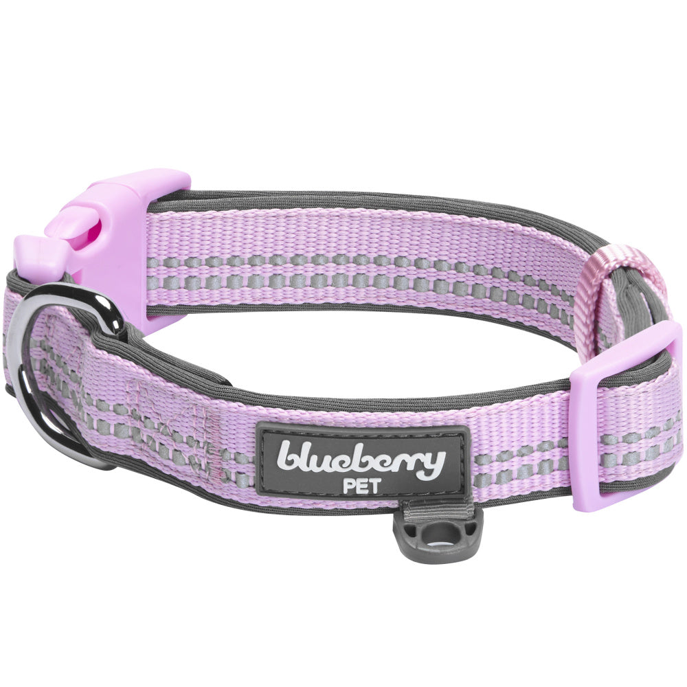 Blueberry Pet Soft & Comfy 3M Reflective Padded Lavender Dog Collar