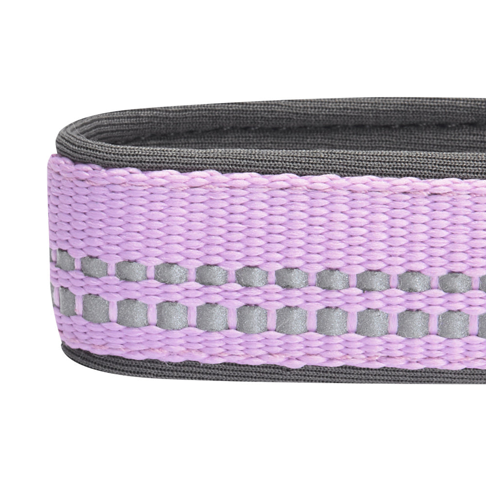 Blueberry Pet Soft & Comfy 3M Reflective Padded Lavender Dog Collar
