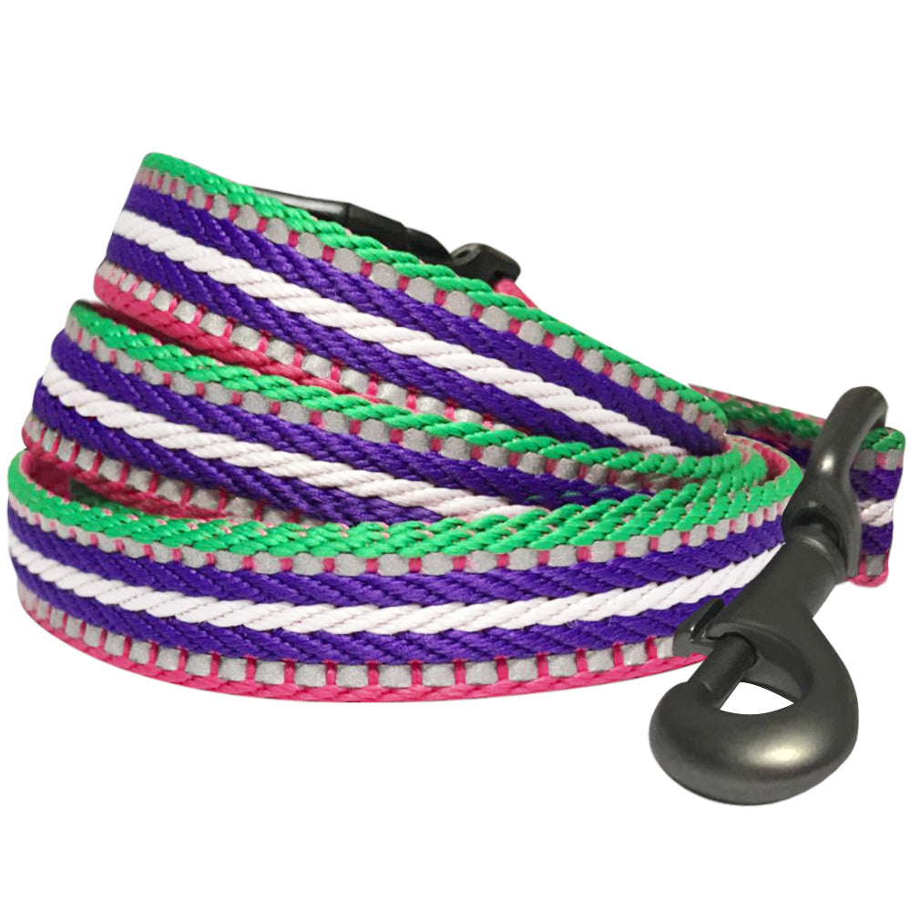 Blueberry Pet 3M Reflective Stripe Dog Leash with Soft & Comfortable Handle, Pink Emerald and Orchid