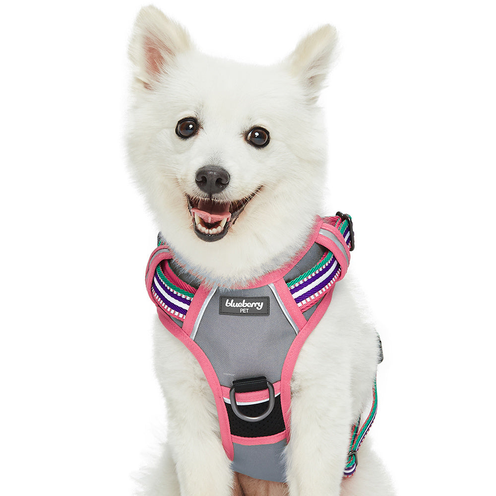 Blueberry Pet Soft & Comfy 3M Reflective Stripe Mesh Padded No Pull Dog Harness Vest, Pink Emerald and Orchid