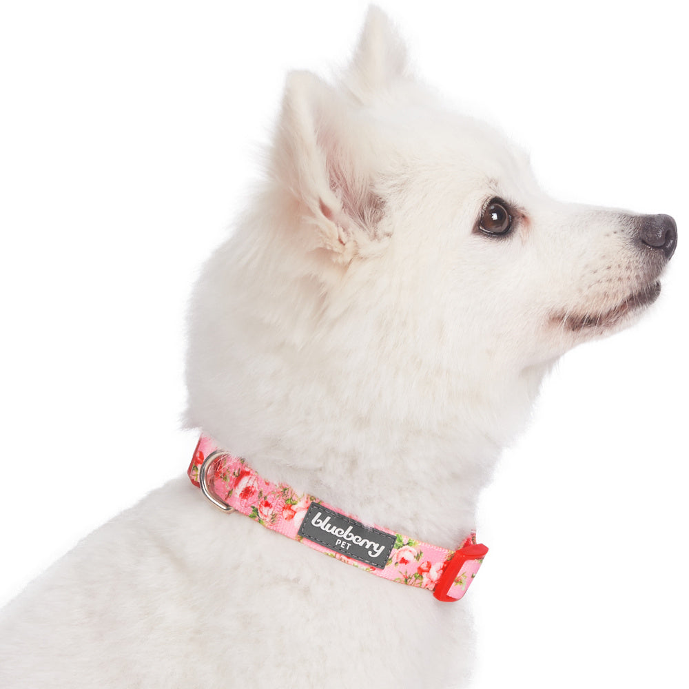 Blueberry Pet Spring Scent Inspired Floral Rose Adjustable Dog Collar, Baby Pink