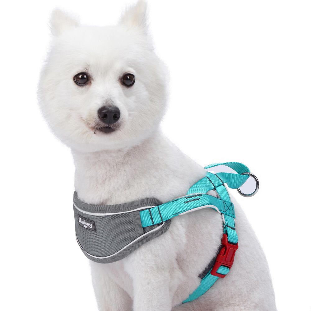 Blueberry Soft & Comfy 3M Reflective Strips Padded Lake Blue Dog Harness Vest