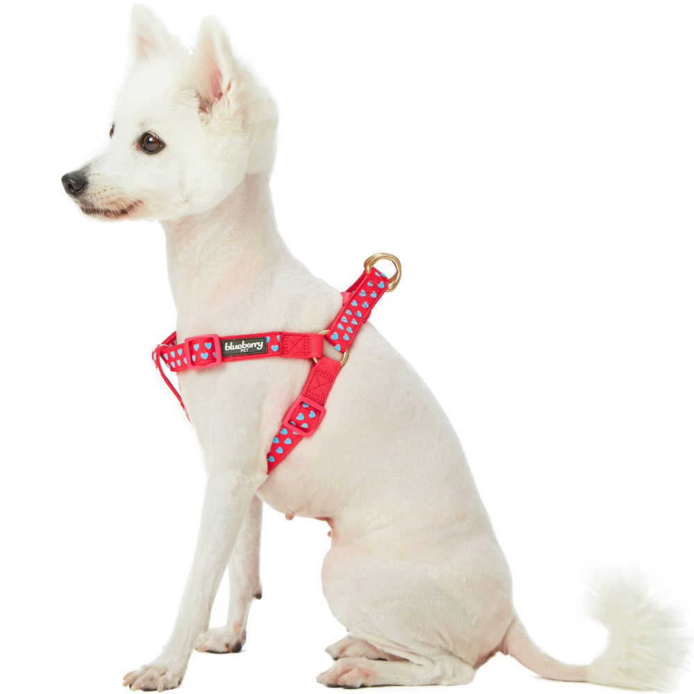 Blueberry Pet Step-in Adjustable Dog Harness, Lust Red with Velvety Heart Flocking