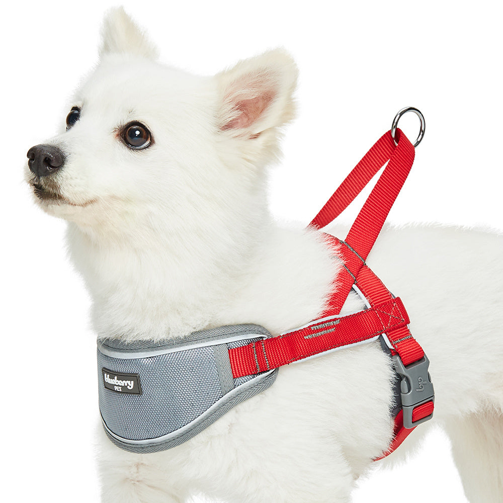 Blueberry Soft & Comfy 3M Reflective Strips Padded Red Dog Harness