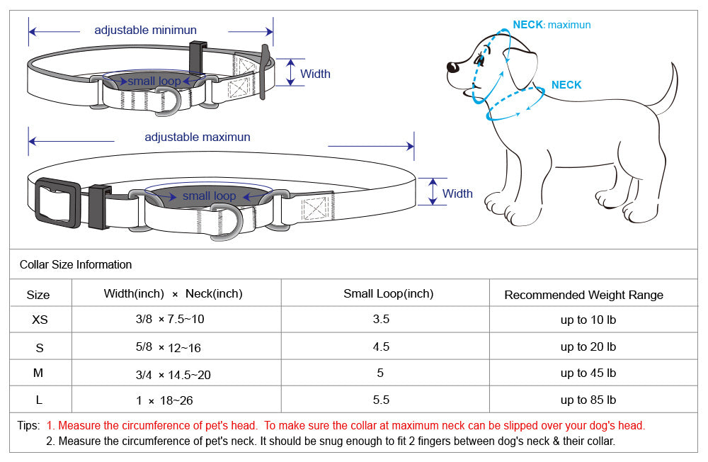Blueberry Pet Safety Training Martingale Dog Collar Heavy Duty Adjustable Collar