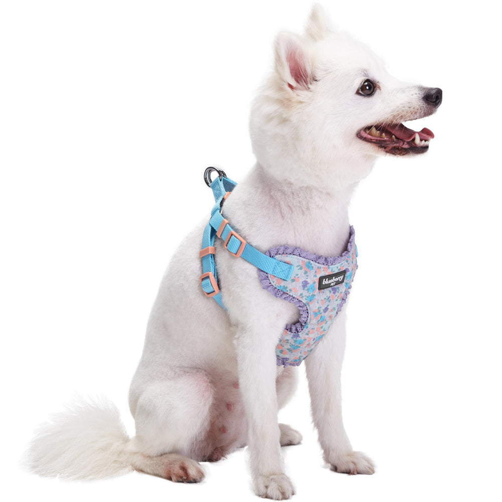 Blueberry Pet Soft and Comfy Lovely Floral No Pull Mesh Puppy Dog Harness Vest in Lavender
