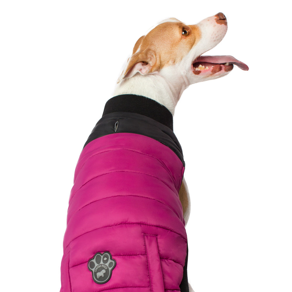 Canada Pooch Summit Stretch Plum Vest for Dogs