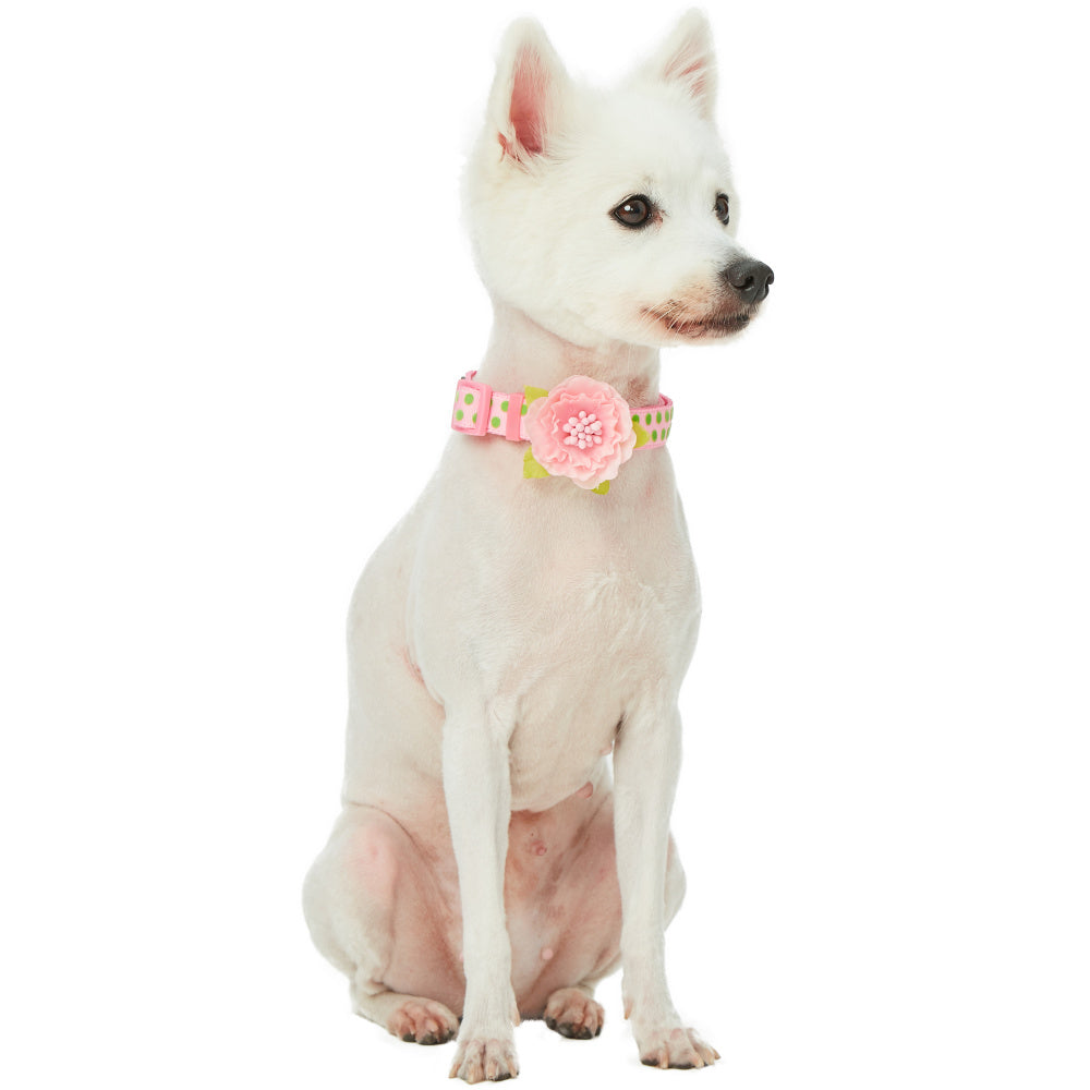 Blueberry Pet Polka Dot Flocking Baby Pink Dog Collar Baby Pink with Detachable Velvety Flower