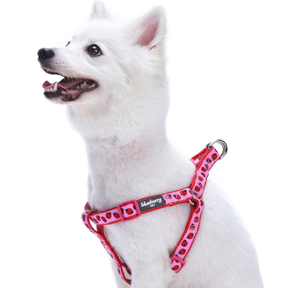 Blueberry Pet Step-in Ladybug Designer Dog Harness
