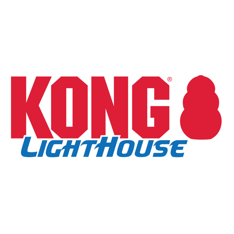 Kong Lighthouse by ROGZ Dog Toy