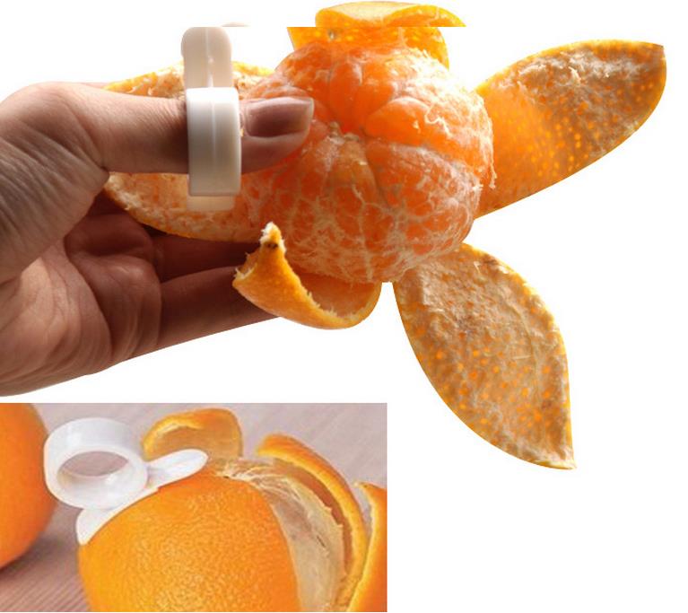 Snail peeling orange